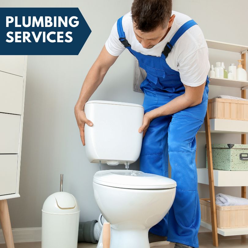 Plumbing Company in Lake Villa, IL